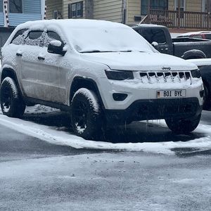 Meet your Posher, Lizzy